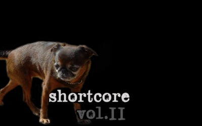 In the Shortcore Vol.2 Compilation